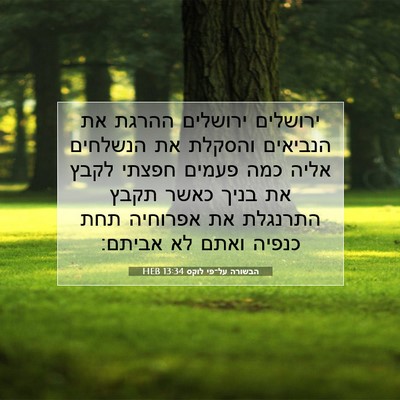 Picture 07 - הבשורה על־פי לוקס 13:34 HEB - ירושלים ירושלים ההרגת את - Bible Verse Picture