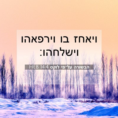Picture 07 - הבשורה על־פי לוקס 14:4 HEB - ויאחז בו וירפאהו - Bible Verse Picture