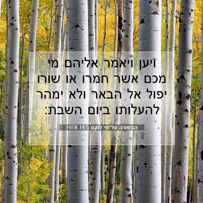 Picture 07 - הבשורה על־פי לוקס 14:5 HEB - ויען ויאמר אליהם מי מכם אשר - Bible Verse Picture