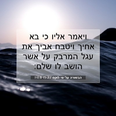 Picture 07 - הבשורה על־פי לוקס 15:27 HEB - ויאמר אליו כי בא אחיך ויטבח - Bible Verse Picture