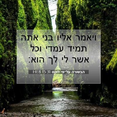 Picture 07 - הבשורה על־פי לוקס 15:31 HEB - ויאמר אליו בני אתה תמיד - Bible Verse Picture