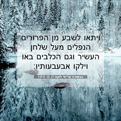 Picture 07 - הבשורה על־פי לוקס 16:21 HEB - ויתאו לשבע מן הפרורים - Bible Verse Picture