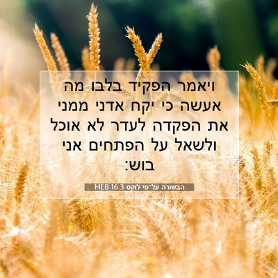 Picture 07 - הבשורה על־פי לוקס 16:3 HEB - ויאמר הפקיד בלבו מה אעשה כי - Bible Verse Picture