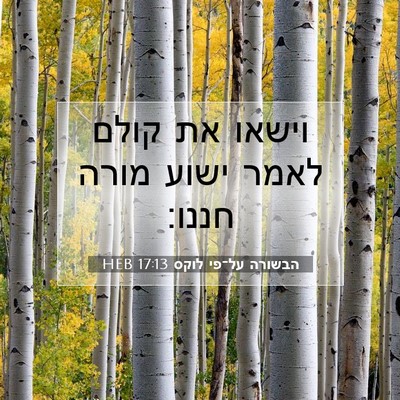 Picture 07 - הבשורה על־פי לוקס 17:13 HEB - וישאו את קולם לאמר ישוע - Bible Verse Picture