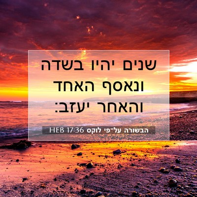 Picture 07 - הבשורה על־פי לוקס 17:36 HEB - שנים יהיו בשדה ונאסף האחד - Bible Verse Picture