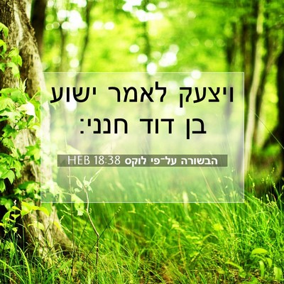 Picture 07 - הבשורה על־פי לוקס 18:38 HEB - ויצעק לאמר ישוע בן דוד - Bible Verse Picture