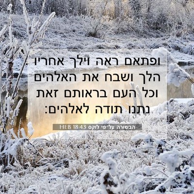 Picture 07 - הבשורה על־פי לוקס 18:43 HEB - ופתאם ראה וילך אחריו הלך - Bible Verse Picture