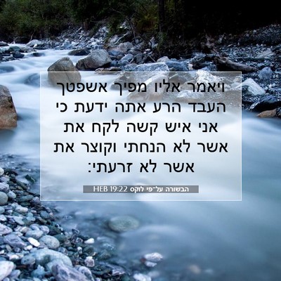 Picture 07 - הבשורה על־פי לוקס 19:22 HEB - ויאמר אליו מפיך אשפטך העבד - Bible Verse Picture