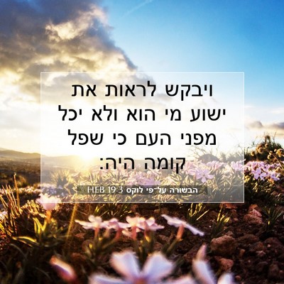Picture 07 - הבשורה על־פי לוקס 19:3 HEB - ויבקש לראות את ישוע מי הוא - Bible Verse Picture