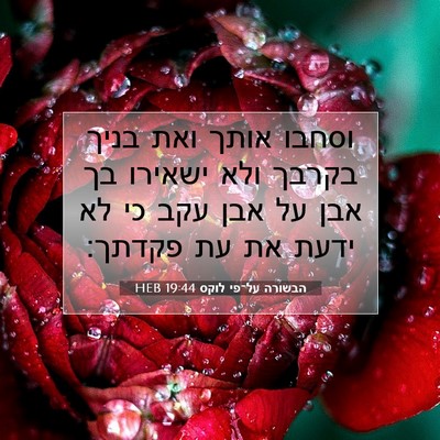 Picture 07 - הבשורה על־פי לוקס 19:44 HEB - וסחבו אותך ואת בניך בקרבך - Bible Verse Picture