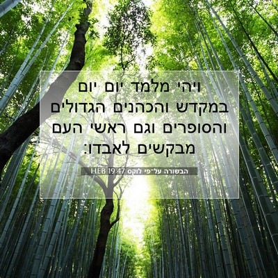 Picture 07 - הבשורה על־פי לוקס 19:47 HEB - ויהי מלמד יום יום במקדש - Bible Verse Picture