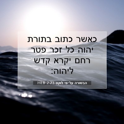 Picture 07 - הבשורה על־פי לוקס 2:23 HEB - כאשר כתוב בתורת יהוה כל זכר - Bible Verse Picture