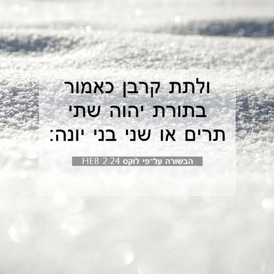 Picture 07 - הבשורה על־פי לוקס 2:24 HEB - ולתת קרבן כאמור בתורת יהוה - Bible Verse Picture
