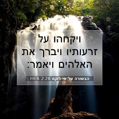 Picture 07 - הבשורה על־פי לוקס 2:28 HEB - ויקחהו על זרעותיו ויברך את - Bible Verse Picture