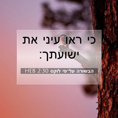 Picture 07 - הבשורה על־פי לוקס 2:30 HEB - כי ראו עיני את - Bible Verse Picture