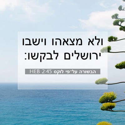 Picture 07 - הבשורה על־פי לוקס 2:45 HEB - ולא מצאהו וישבו ירושלים - Bible Verse Picture