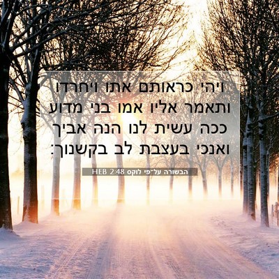 Picture 07 - הבשורה על־פי לוקס 2:48 HEB - ויהי כראותם אתו ויחרדו - Bible Verse Picture