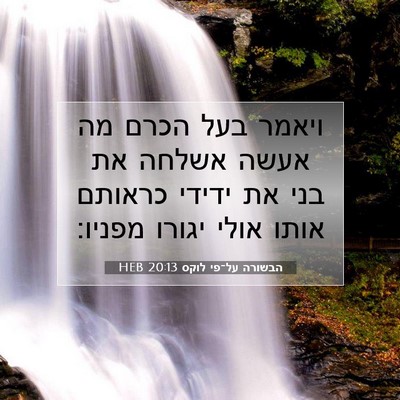 Picture 07 - הבשורה על־פי לוקס 20:13 HEB - ויאמר בעל הכרם מה אעשה - Bible Verse Picture