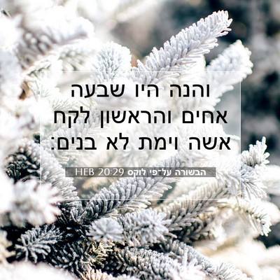 Picture 07 - הבשורה על־פי לוקס 20:29 HEB - והנה היו שבעה אחים והראשון - Bible Verse Picture