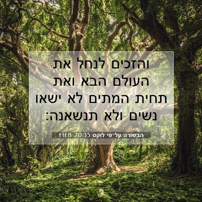 Picture 07 - הבשורה על־פי לוקס 20:35 HEB - והזכים לנחל את העולם הבא - Bible Verse Picture