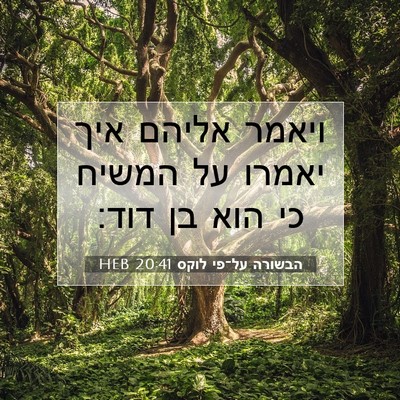 Picture 07 - הבשורה על־פי לוקס 20:41 HEB - ויאמר אליהם איך יאמרו על - Bible Verse Picture