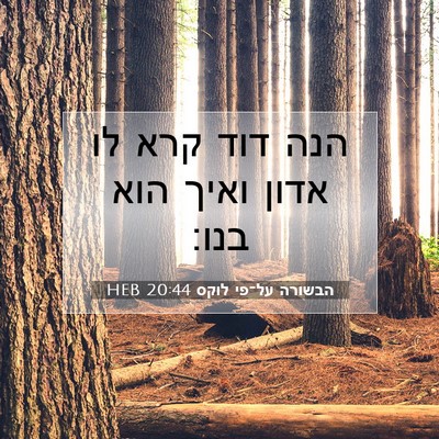 Picture 07 - הבשורה על־פי לוקס 20:44 HEB - הנה דוד קרא לו אדון ואיך - Bible Verse Picture