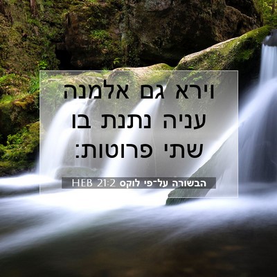 Picture 07 - הבשורה על־פי לוקס 21:2 HEB - וירא גם אלמנה עניה נתנת בו - Bible Verse Picture