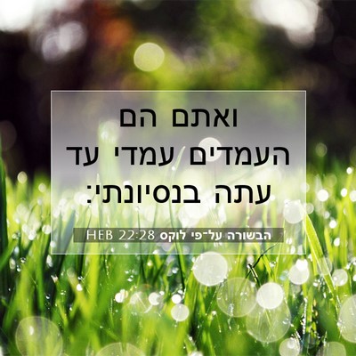 Picture 07 - הבשורה על־פי לוקס 22:28 HEB - ואתם הם העמדים עמדי עד עתה - Bible Verse Picture