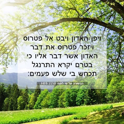 Picture 07 - הבשורה על־פי לוקס 22:61 HEB - ויפן האדון ויבט אל פטרוס - Bible Verse Picture