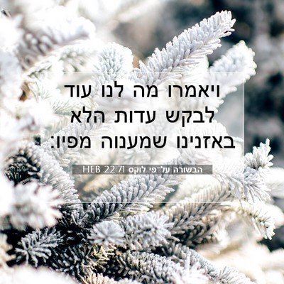 Picture 07 - הבשורה על־פי לוקס 22:71 HEB - ויאמרו מה לנו עוד לבקש עדות - Bible Verse Picture