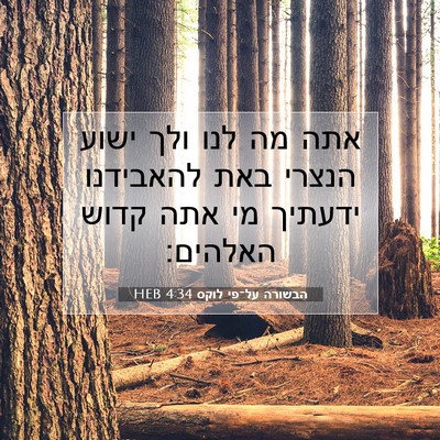 Picture 07 - הבשורה על־פי לוקס 4:34 HEB - אתה מה לנו ולך ישוע הנצרי - Bible Verse Picture