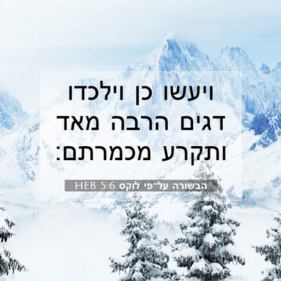 Picture 07 - הבשורה על־פי לוקס 5:6 HEB - ויעשו כן וילכדו דגים הרבה - Bible Verse Picture