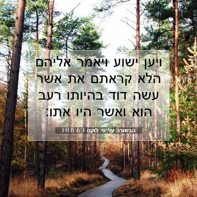 Picture 07 - הבשורה על־פי לוקס 6:3 HEB - ויען ישוע ויאמר אליהם הלא - Bible Verse Picture