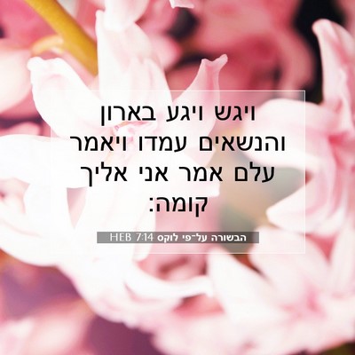 Picture 07 - הבשורה על־פי לוקס 7:14 HEB - ויגש ויגע בארון והנשאים - Bible Verse Picture