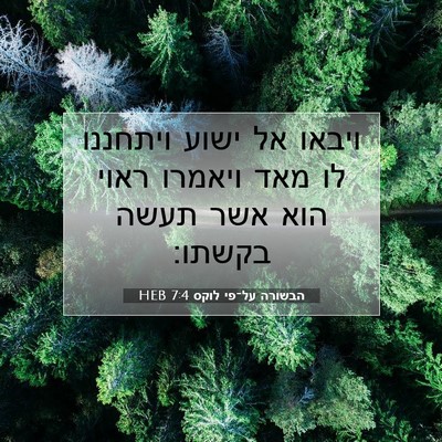 Picture 07 - הבשורה על־פי לוקס 7:4 HEB - ויבאו אל ישוע ויתחננו לו - Bible Verse Picture