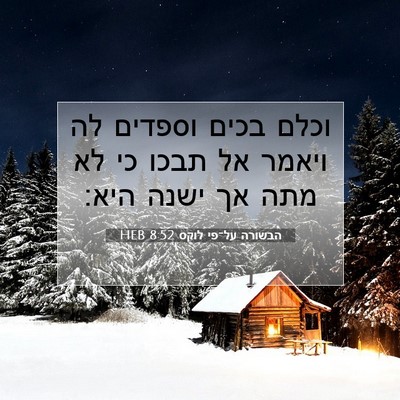 Picture 07 - הבשורה על־פי לוקס 8:52 HEB - וכלם בכים וספדים לה ויאמר - Bible Verse Picture