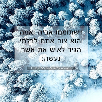 Picture 07 - הבשורה על־פי לוקס 8:56 HEB - וישתוממו אביה ואמה והוא - Bible Verse Picture
