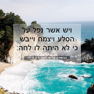 Picture 07 - הבשורה על־פי לוקס 8:6 HEB - ויש אשר נפל על הסלע ויצמח - Bible Verse Picture