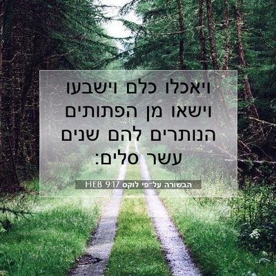 Picture 07 - הבשורה על־פי לוקס 9:17 HEB - ויאכלו כלם וישבעו וישאו מן - Bible Verse Picture