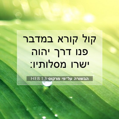 Picture 07 - הבשורה על־פי מרקוס 1:3 HEB - קול קורא במדבר פנו דרך יהוה - Bible Verse Picture