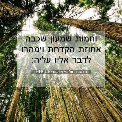Picture 07 - הבשורה על־פי מרקוס 1:30 HEB - וחמות שמעון שכבה אחוזת - Bible Verse Picture