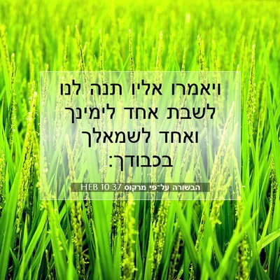 Picture 07 - הבשורה על־פי מרקוס 10:37 HEB - ויאמרו אליו תנה לנו לשבת - Bible Verse Picture