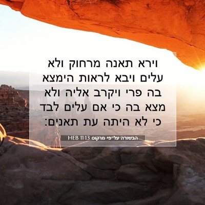 Picture 07 - הבשורה על־פי מרקוס 11:13 HEB - וירא תאנה מרחוק ולא עלים - Bible Verse Picture