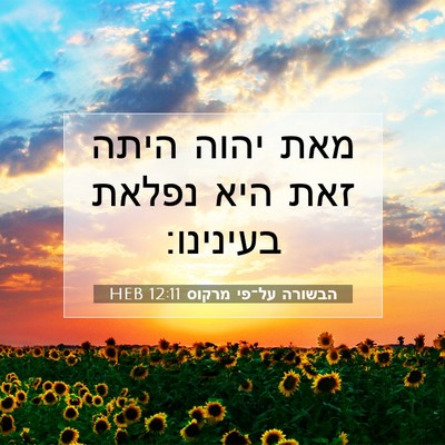 Picture 07 - הבשורה על־פי מרקוס 12:11 HEB - מאת יהוה היתה זאת היא נפלאת - Bible Verse Picture