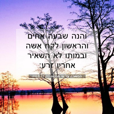 Picture 07 - הבשורה על־פי מרקוס 12:20 HEB - והנה שבעה אחים והראשון לקח - Bible Verse Picture