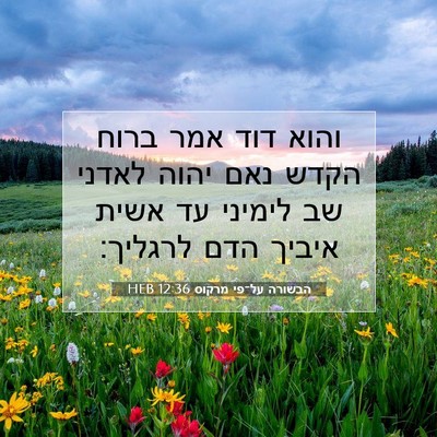 Picture 07 - הבשורה על־פי מרקוס 12:36 HEB - והוא דוד אמר ברוח הקדש נאם - Bible Verse Picture