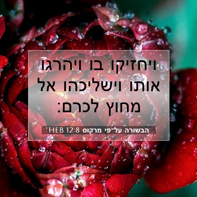 Picture 07 - הבשורה על־פי מרקוס 12:8 HEB - ויחזיקו בו ויהרגו אותו - Bible Verse Picture