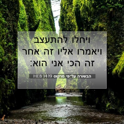 Picture 07 - הבשורה על־פי מרקוס 14:19 HEB - ויחלו להתעצב ויאמרו אליו - Bible Verse Picture
