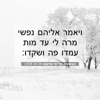 Picture 07 - הבשורה על־פי מרקוס 14:34 HEB - ויאמר אליהם נפשי מרה לי עד - Bible Verse Picture