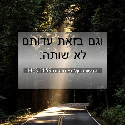 Picture 07 - הבשורה על־פי מרקוס 14:59 HEB - וגם בזאת עדותם לא - Bible Verse Picture